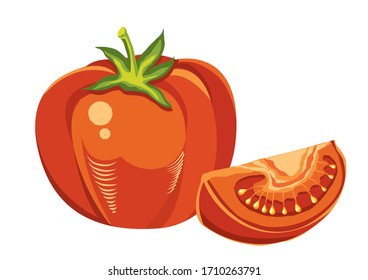 Tomate. Vector de verduras rojas fresco aislado en blanco. Ilustración vintage