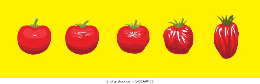 Tomato Fresh Rotten Sequence Set Cartoon Vector Illustration