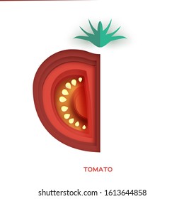 Tomato. Fresh slice on white background. Front view.