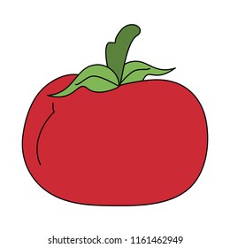 Tomato fresh vegetable
