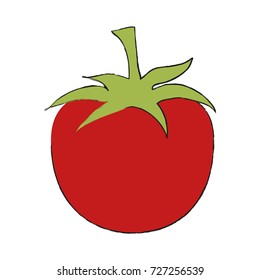 Tomato fresh vegetable