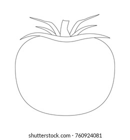 Tomato fresh vegetable