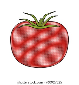 Tomato fresh vegetable