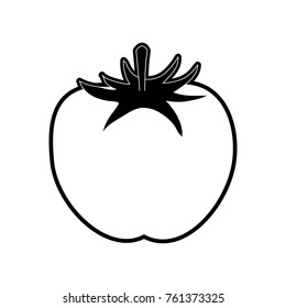 Tomato fresh vegetable