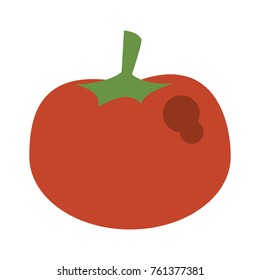 Tomato fresh vegetable