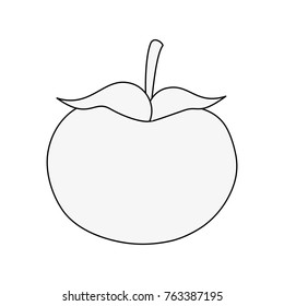 Tomato fresh vegetable