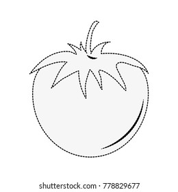 Tomato fresh vegetable