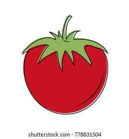 Tomato fresh vegetable