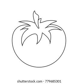 Tomato fresh vegetable