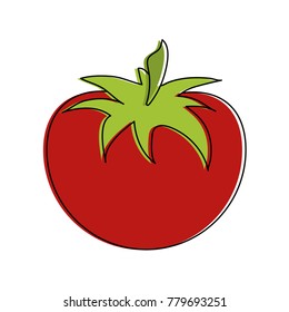 Tomato fresh vegetable