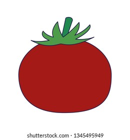 Tomato fresh vegetable blue lines
