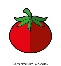 tomato fresh vegetable icon