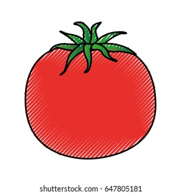 tomato fresh vegetable icon