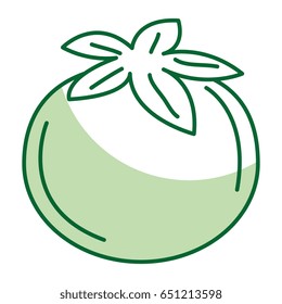 tomato fresh vegetable icon