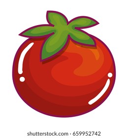 tomato fresh vegetable icon