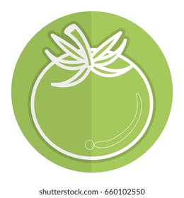tomato fresh vegetable icon