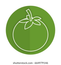 tomato fresh vegetable icon
