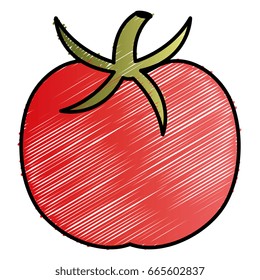 tomato fresh vegetable icon