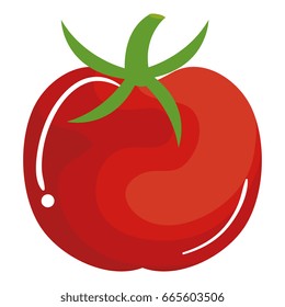 tomato fresh vegetable icon