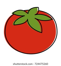 tomato fresh vegetable icon