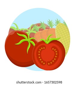 Tomato Fresh Vegetable Icon Vector