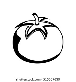 tomato fresh vegetable isolated icon