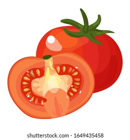 Tomato fresh vegetable vector concept. Single and half. Healthy diet flat style illustration. EPS 10