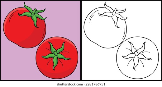 Tomato Fruit Coloring Page Colored Illustration