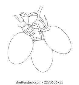 tomato fruit icon illustration design