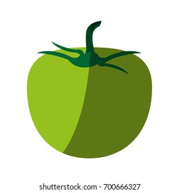 tomato fruit icon image 