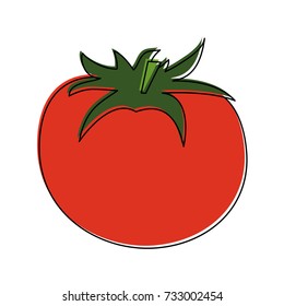 tomato fruit icon image 