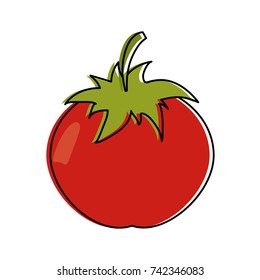 tomato fruit icon image 