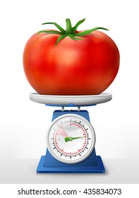 Tomato fruit on scale pan. Weighing tomato with leaf on scales. Vector illustration