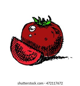 Tomato fruit over white background. Hand drawn vector stock illustration.