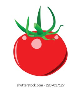 Icono de diseño de vector de frutas de tomate
