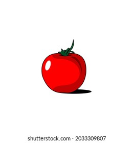 tomato fruit vector design on white background