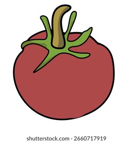 Tomato fruit vector illustration juice cartoon food 