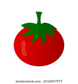 Vector de la fruta del tomate en el fondo blanco