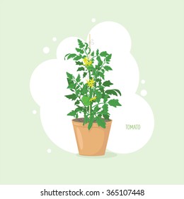 Tomato in garden. Vector illustration. Can be used in web design, printed on fabric/paper, as a background, or as an element in a composition.