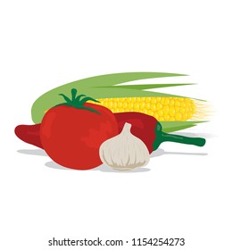 tomato, garlic, corn and pepper, vector