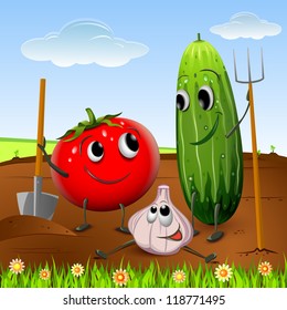 Tomato, garlic and cucumber in the garden. Vector.