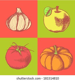 Tomato, garlic, pumpkin and apple sketch, vector set