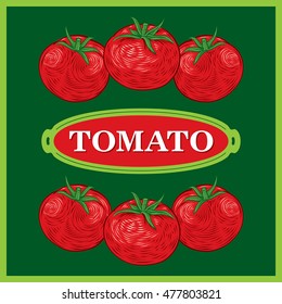 Tomato green background vector illustration. Draw engraving vector illustration.