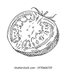 Tomato half. Vintage vector hatching monochrome black illustration. Isolated on white background. Hand drawn design