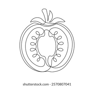 Tomato halves contour line isolated on white background. Simple vegetable silhouette. Hand drawn tomato outline. Vector illustration