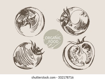 tomato hand draw sketch, vector