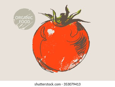 tomato hand draw sketch, vector