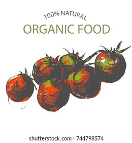 tomato hand draw , vector
