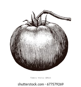 Tomato hand drawing engraving illustration