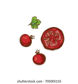 tomato hand drawing graphic object